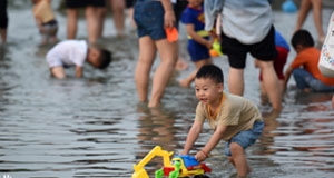 小暑戏水享清凉