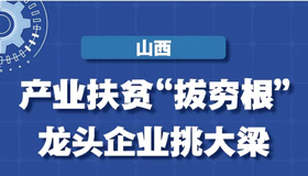 【图解】产业扶贫“拔穷根” 龙头企业挑大梁