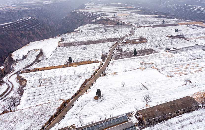 2021年第一场雪 银装素裹妖娆美丽