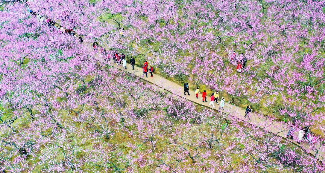 发展乡村旅游 助力乡村振兴