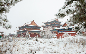 阳春白雪 景色诱人