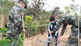 驻澳门部队参加特区绿化植树活动