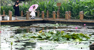 立夏湿地花木荣