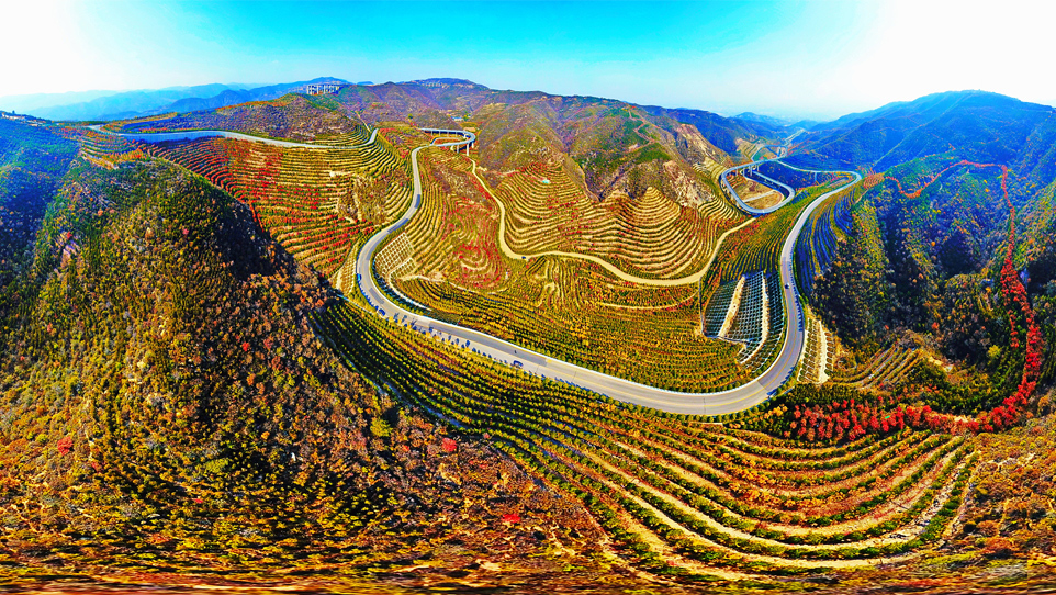 天龙山公路“红了”