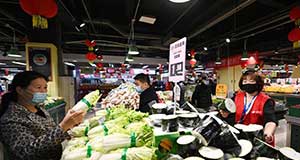天津启动政府储备菜投放