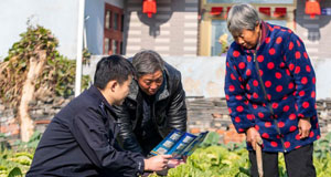 宪法日：宣传宪法知识