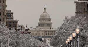 美国：华盛顿暴雪