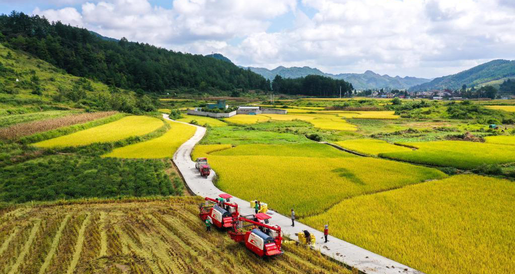 透视2021年中国经济答卷