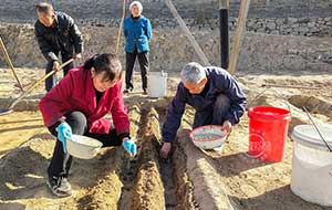 孝义：人勤春来早 农民种蒜忙