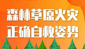 【图解】森林草原火灾正确自救姿势