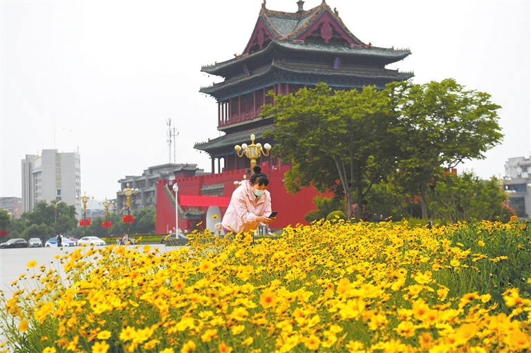 临汾临汾鼓楼广场周围各类鲜花竞相绽放连日来，市区鼓楼广场周围各类鲜花竞相绽放，争奇斗艳，吸引了许多市民前来观赏、拍照。[详细]