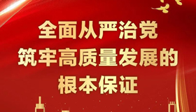 【图解】全面从严治党 筑牢高质量发展的根本保证