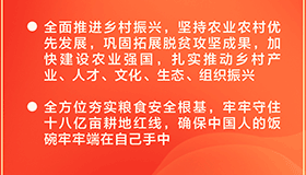 二十大报告里的这些举措暖民心