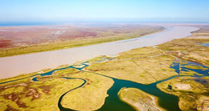 山东黄河三角洲湿地