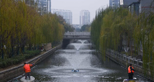 浙江湖州：扮靓美丽河道迎新年