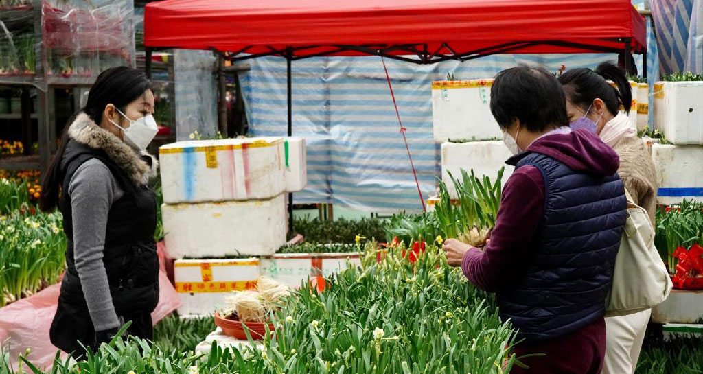 年宵花市又一春