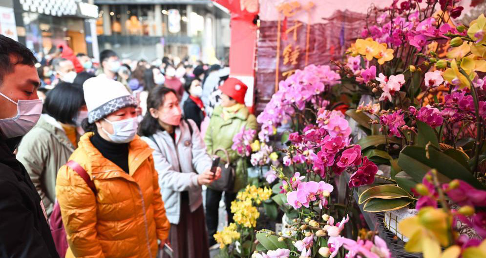 逛花市 迎新春