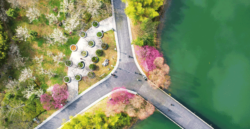 花开春意浓