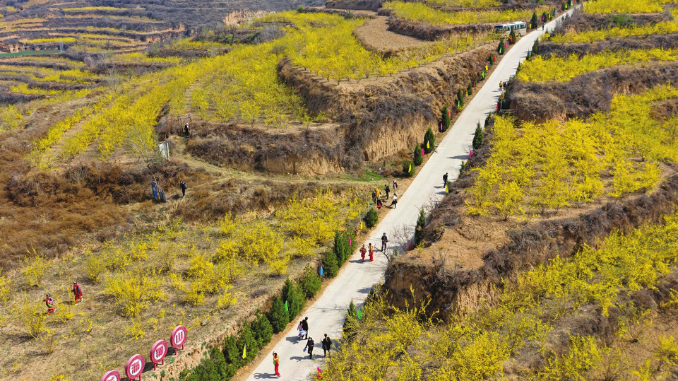 赏花观景