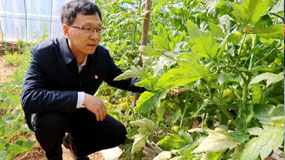 李建忠
中国银保监会长治分局
屯留监管组组长
简介：数十年如一日冲锋在金融监管最前线，致力于防范化解各类金融风险。积极探索各类金融服务方式，为地方经济发展保驾护航。2008年度长治市总工会授予“长治市职工职业道德十佳标兵”。
