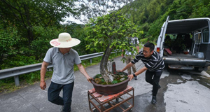 山乡青创客开启特色致富路