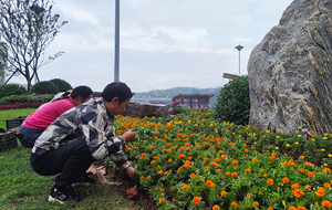 山西阳城：鲜花扮靓城市