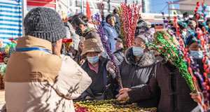 西藏日喀则：年货市场年味浓