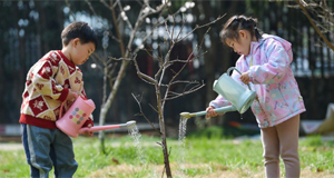 植树迎春