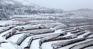 甘肃部分地区出现降雪