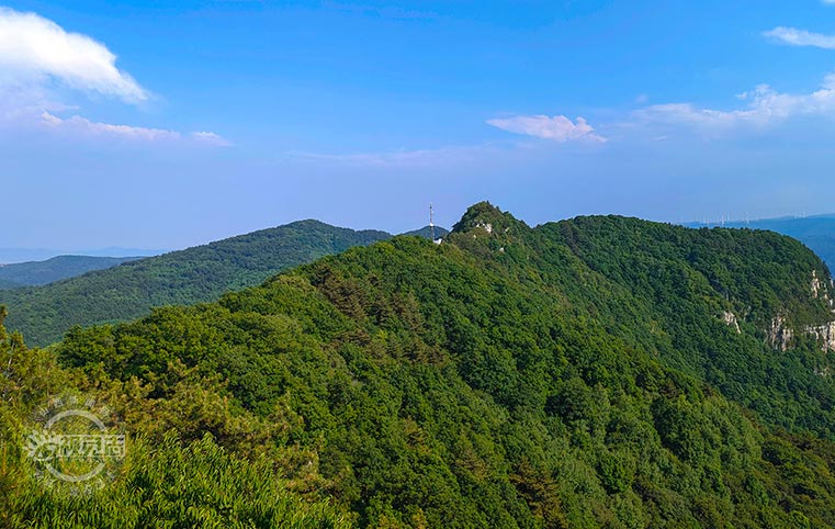 探访天峻山 感受自然之美