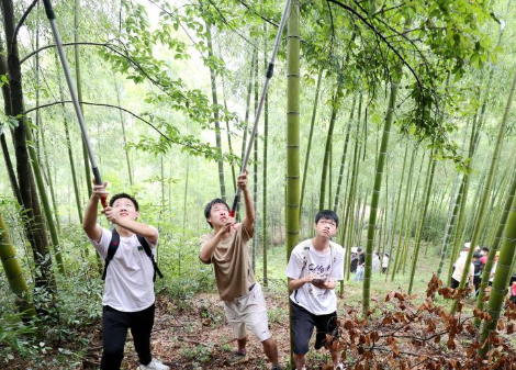 浙江德清：大学生野外探寻生物多样性