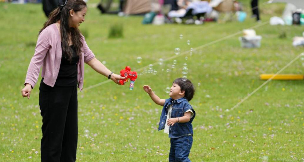 西藏林周县：“神秘树林”游客多