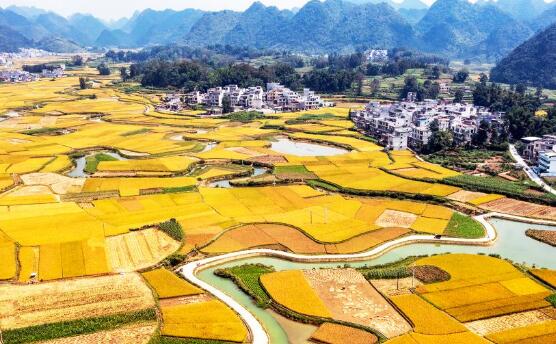 山乡秋景