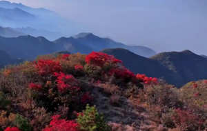 永济五老峰：层林尽染秋意浓