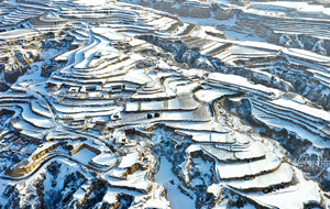 雪后梯田景如画