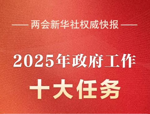 2025年政府工作十大任务