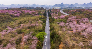 春和景明 一路生花