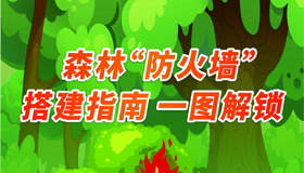 【海报】森林“防火墙”搭建指南 一图解锁
