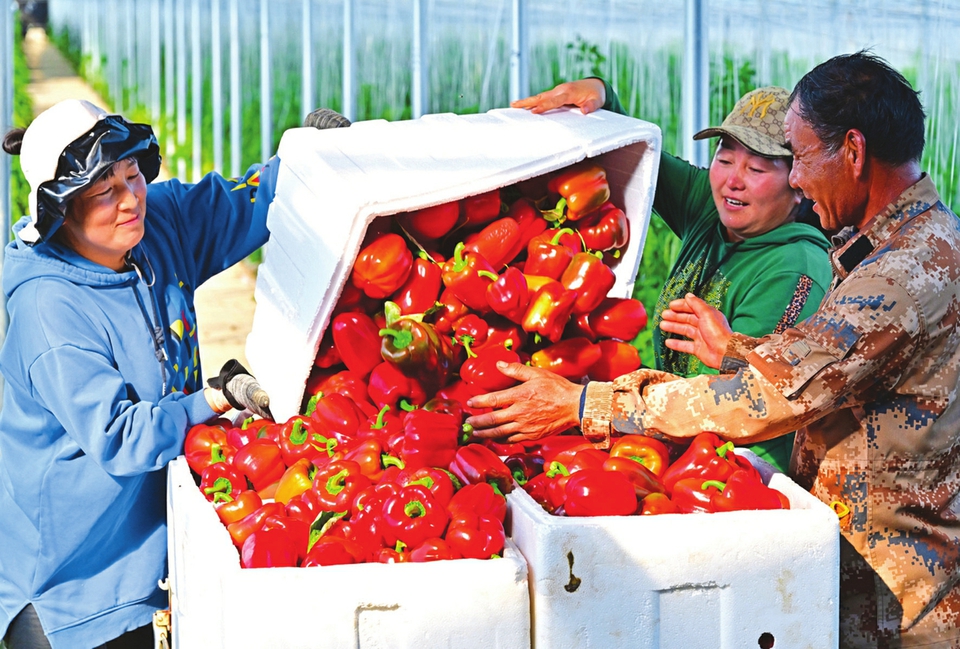 20231114_766802aafc215ae20dce0788eef637f1.jpg