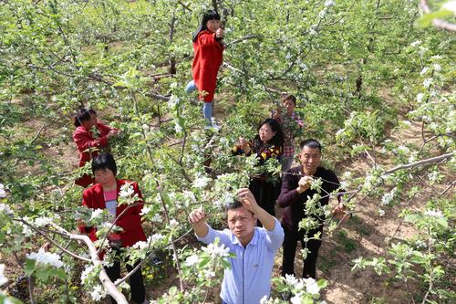 朔州市平鲁区阻虎乡迎恩堡村建设美丽乡村