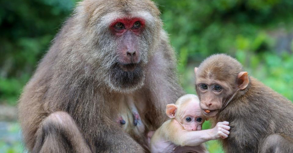 �Z�i�s��a����G�í��U���ֶ�