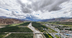 雪域高原的“沙棘传奇”