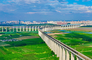 夏日黄河岸畔风光旖旎