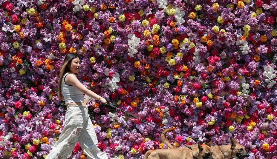 重庆再次发布高温红色预警信号