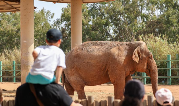 走进摩洛哥拉巴特动物园