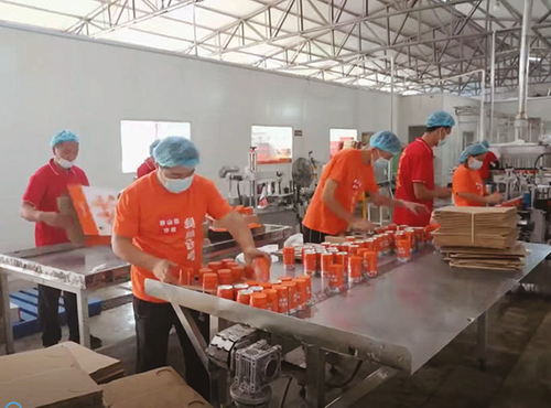 右玉县沙棘产业成为带动地方发展的“绿色名片”