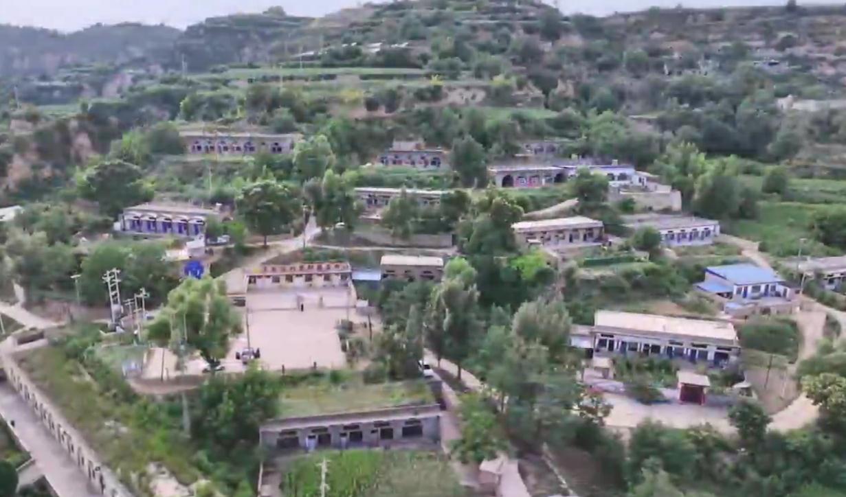 扎根基层 实干为民