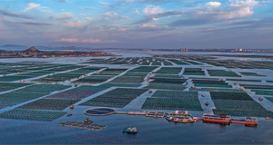 扎鲁特山地草原如诗如画