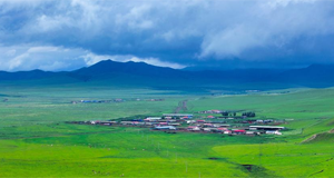 山东荣成：秋日耕海图