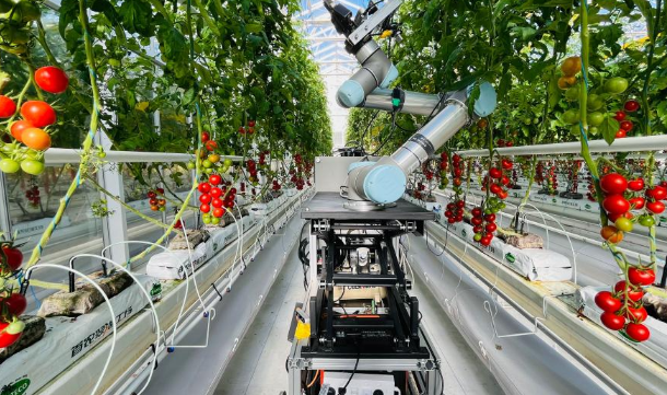 ���x���y�{����|�ؾ����H�G��